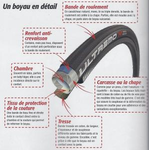 Boyau en détail
